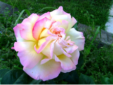 �������� ���������.JPG