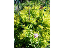 �������� �� ������ �����.JPG