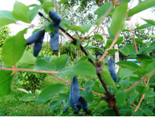 ��������� ������.JPG