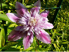 �������� �������� ��������(2)