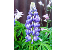 ����� ���+�����.JPG