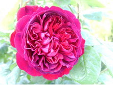 ���� ���. �..JPG