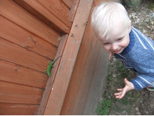 ������� �� ����