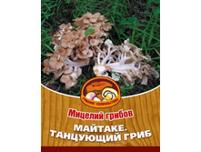 ������� 55���.jpg