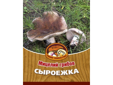 �������� 62���.jpg