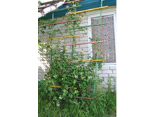 ��������� ���������.