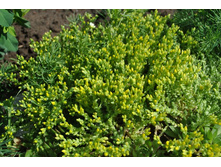 ������\\����� �����