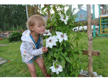 �������� ���������������. 