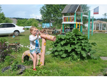 �����. ������ �����. 