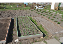 ������ ������. ���.