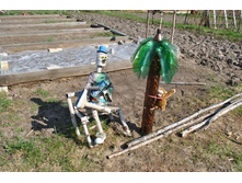 �����. ���� �� ����� ����.