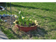 ��������. 