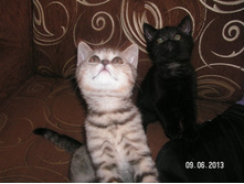 PICT0086.JPG