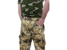 ������ �����2.jpg