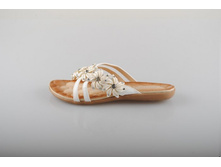 ���� Bottico 585 ���.