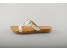 ���� Bottico 585 ���.