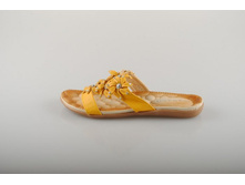 ���� Anano 585 ���.