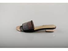 ���� Anano 585 ���.