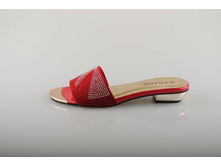 ���� Anano 585 ���.