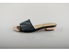 ���� Anano 585 ���.