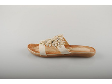 C��� Bottico 585 ���.