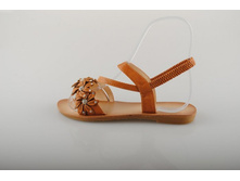 C��� Bottico 585 ���.