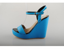 ��������� Shems 650 ���.