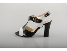 ��������� Sandway 650 ���.