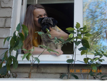 ��������� �� �����,������� � �����������)