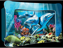 ��� ��������.png