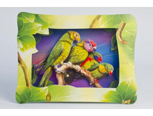 ���������� �������.jpg