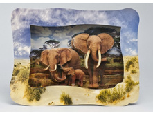 ����� �� ��������.jpg