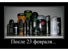 1329850291_23.jpg