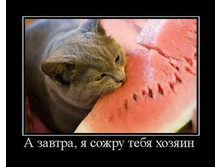 1346831495_demotivatory-11.jpg
