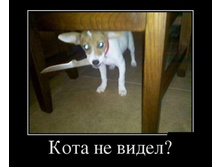 1346831529_demotivatory-18.jpg