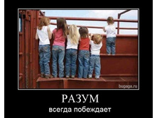 1367073686_demki-novye.jpg