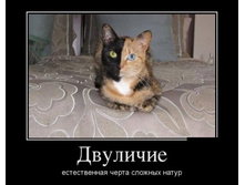 1346948226_demotivatory-27.jpg
