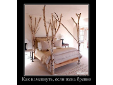 1349755801_007_3.jpg