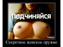 1349755854_041_2.jpg