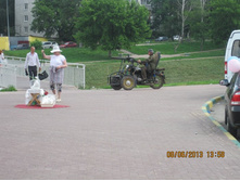 IMG_2563.JPG