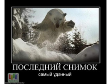 ��������� ������ ... ����� �������