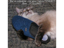 ������ ����� ... 