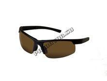 ���� DC100176B.jpg