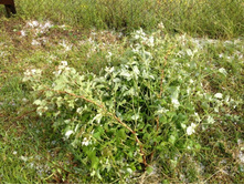 ������ ����� ��������� - ������ �� ��������� ))