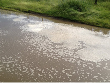 ���� ����� �� ����� ��.�������� ����