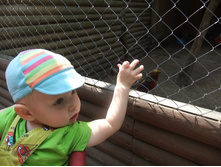 �ݣ ������