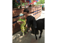 ���� � ����� ����