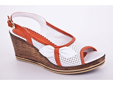 244 (02-07) 870 ���.jpg