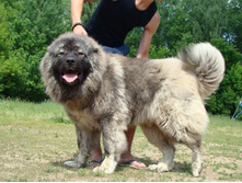 ����������� 010.jpg