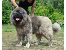 ����������� 011.jpg